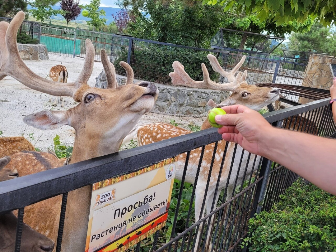 Taigan Lions Park-Bilohirsk必去景点