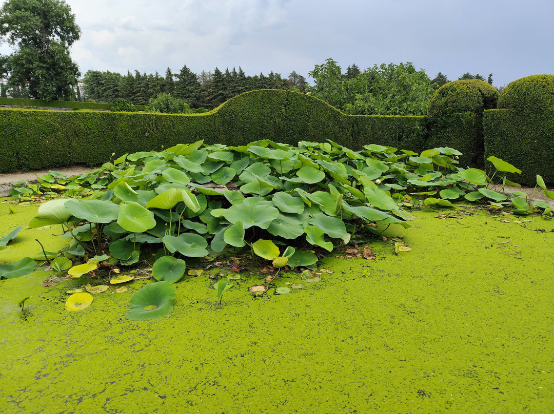 Palacio dos Condes de Anadia-Mangualde必去景点