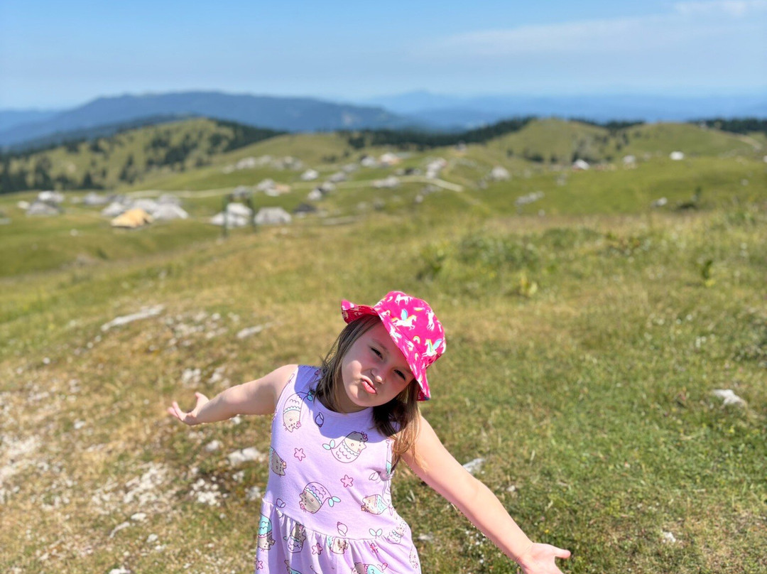 Velika Planina-Stahovica必去景点