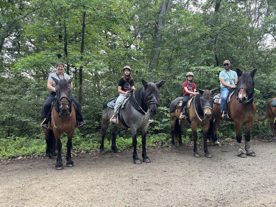 Hickory Hollow Horse Farm-葛底斯堡必去景点