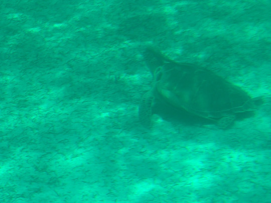 Caicos Tours-普罗维登西亚莱斯必去景点