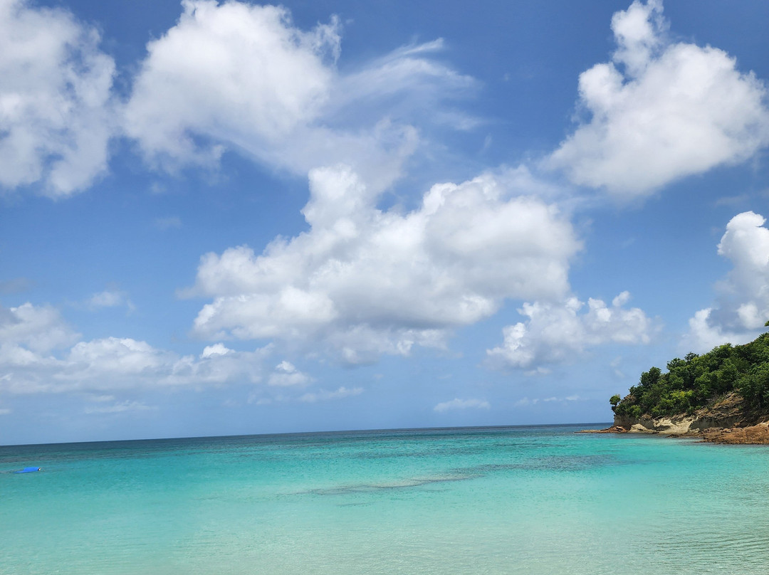 Adventure Caribbean Jabberwocky-Jolly Harbour必去景点