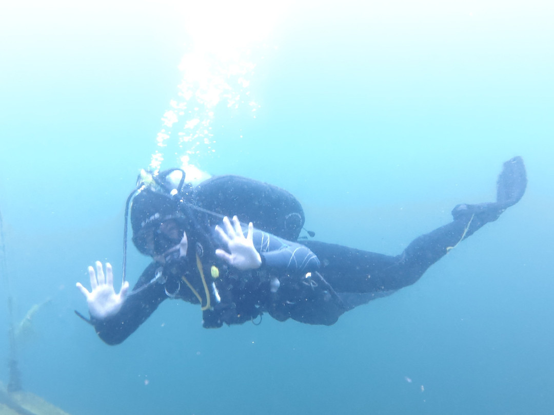 Scuba Guru - Diving Certification and Classes-布兰斯堡必去景点