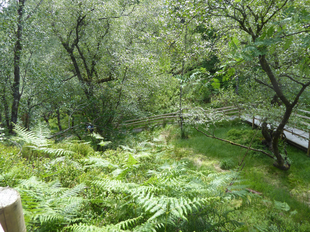 Roderick Dhu Viewing Tower