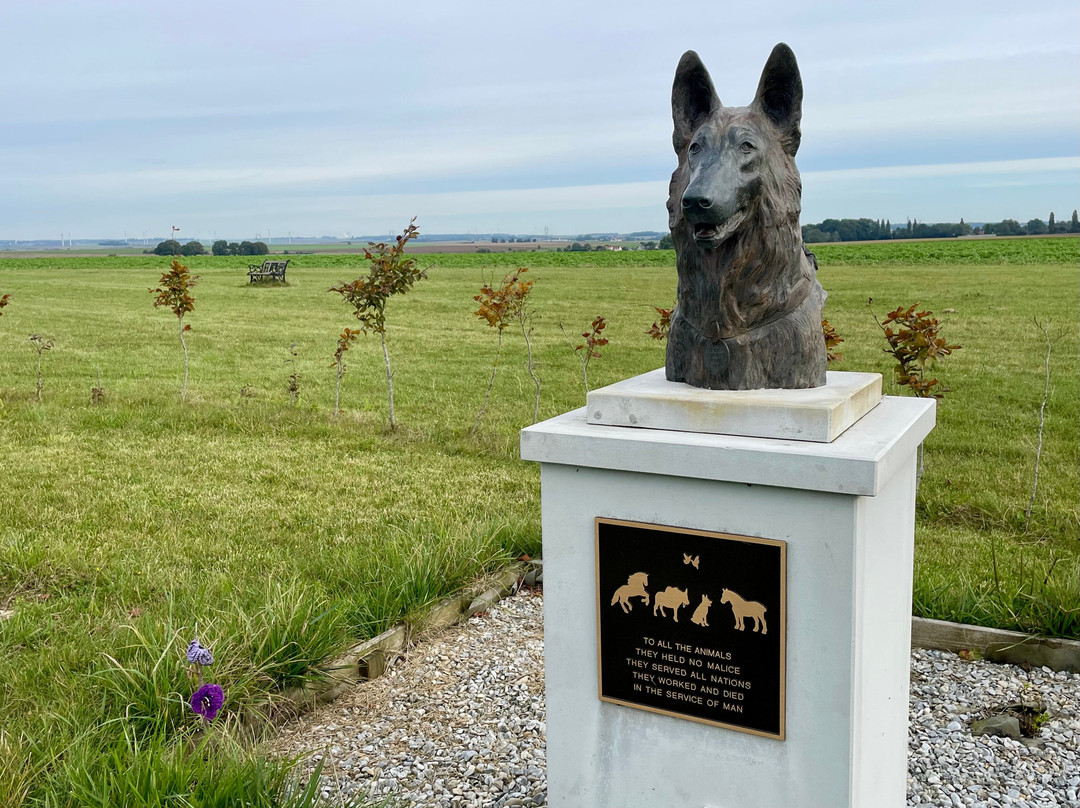 WW1 Animal War Memorial