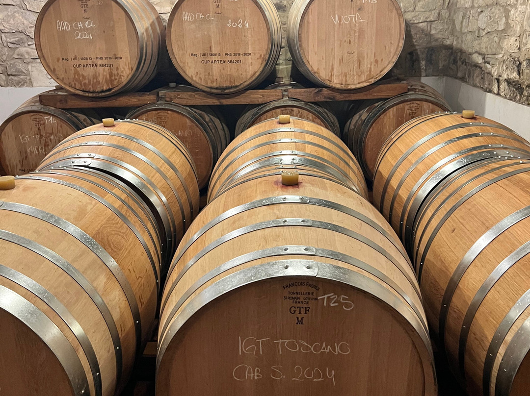 Renzo Marinai Chianti Farm And Vineyards-Panzano in Chianti必去景点