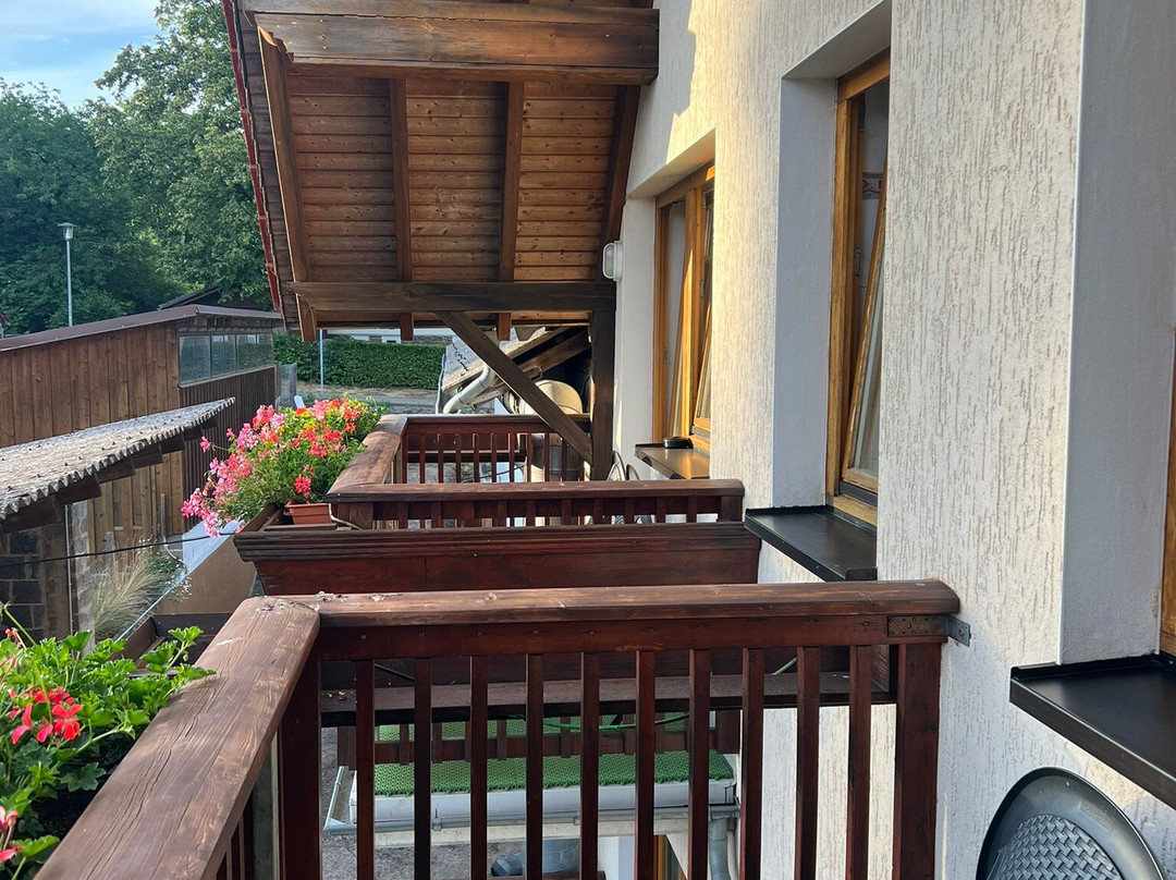 Landgasthof Sauer主图