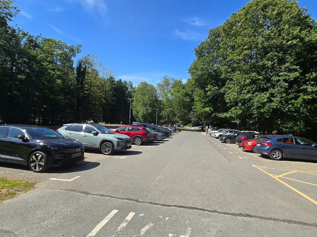 Avondale House & Forest Park-County Wicklow必去景点