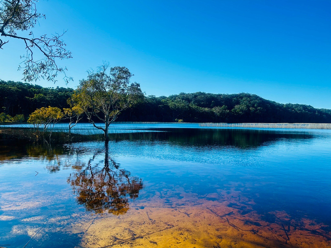 SeaLink K'gari (Fraser Island)-River Heads必去景点