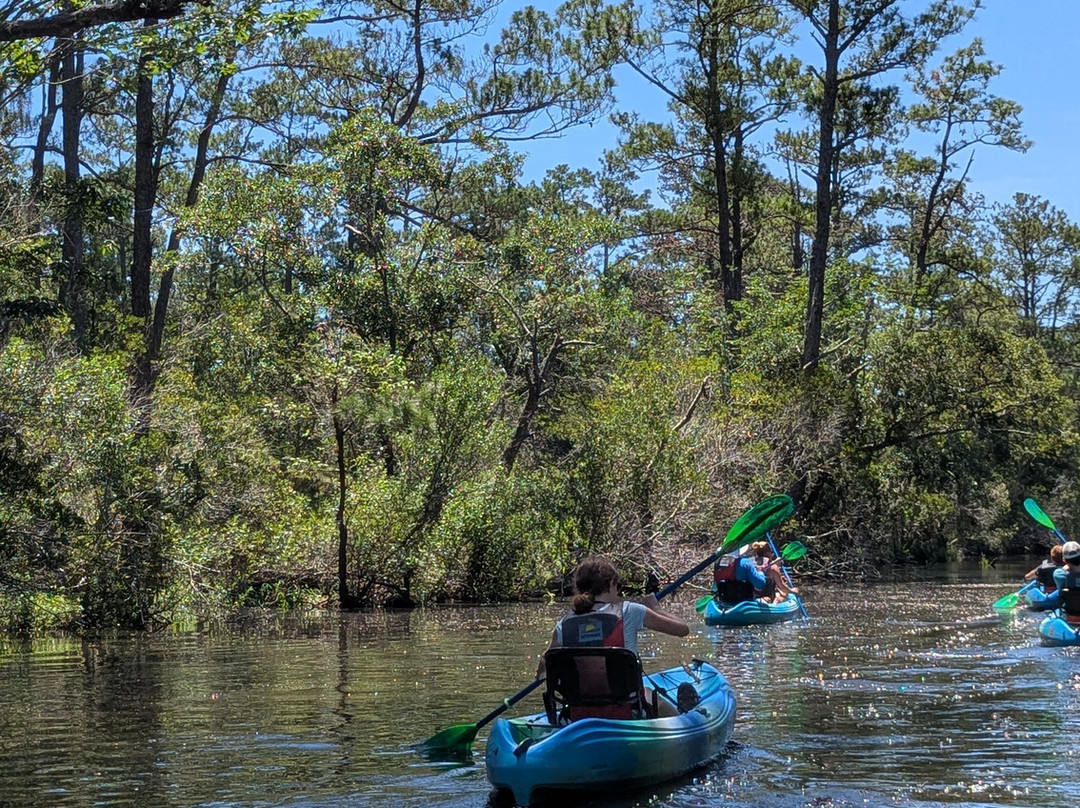 Outer Banks Kayak Adventures-外滩群岛必去景点