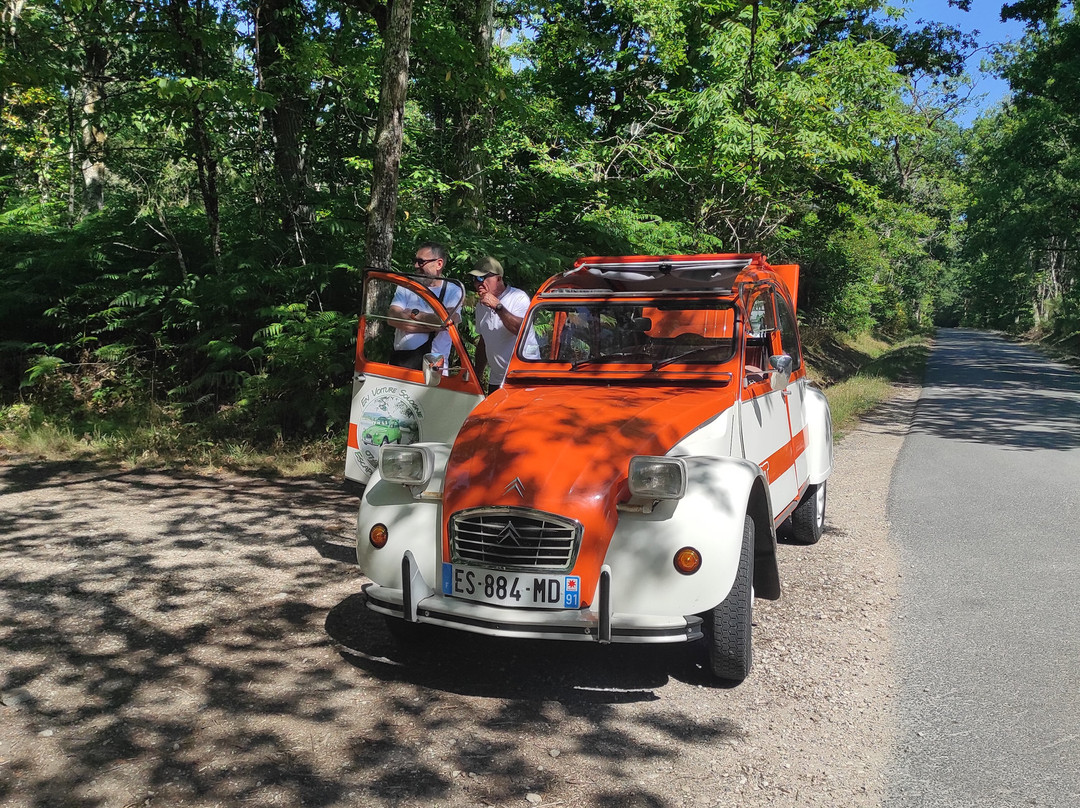 En Voiture Sologne-Romorantin-Lanthenay必去景点