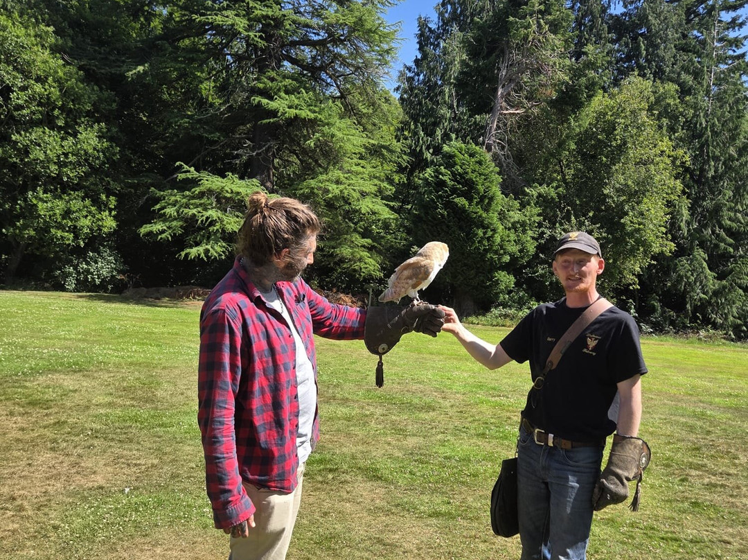 Dalhousie Castle Falconry-邦尼里格必去景点
