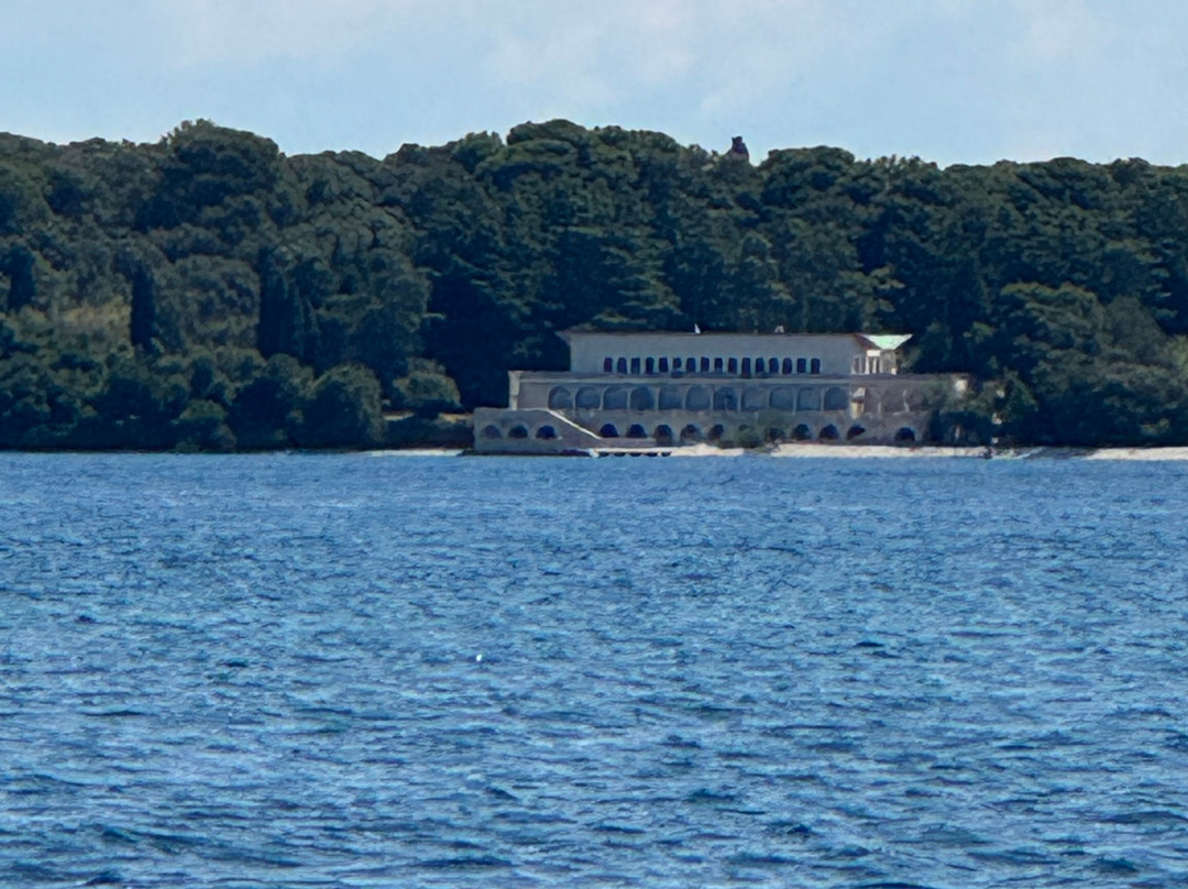 Burin Dolphin excursion Pula-普拉必去景点