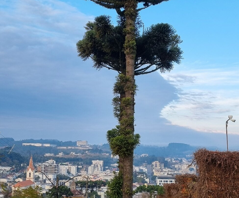 Bella Visione Viewpoint-Garibaldi必去景点