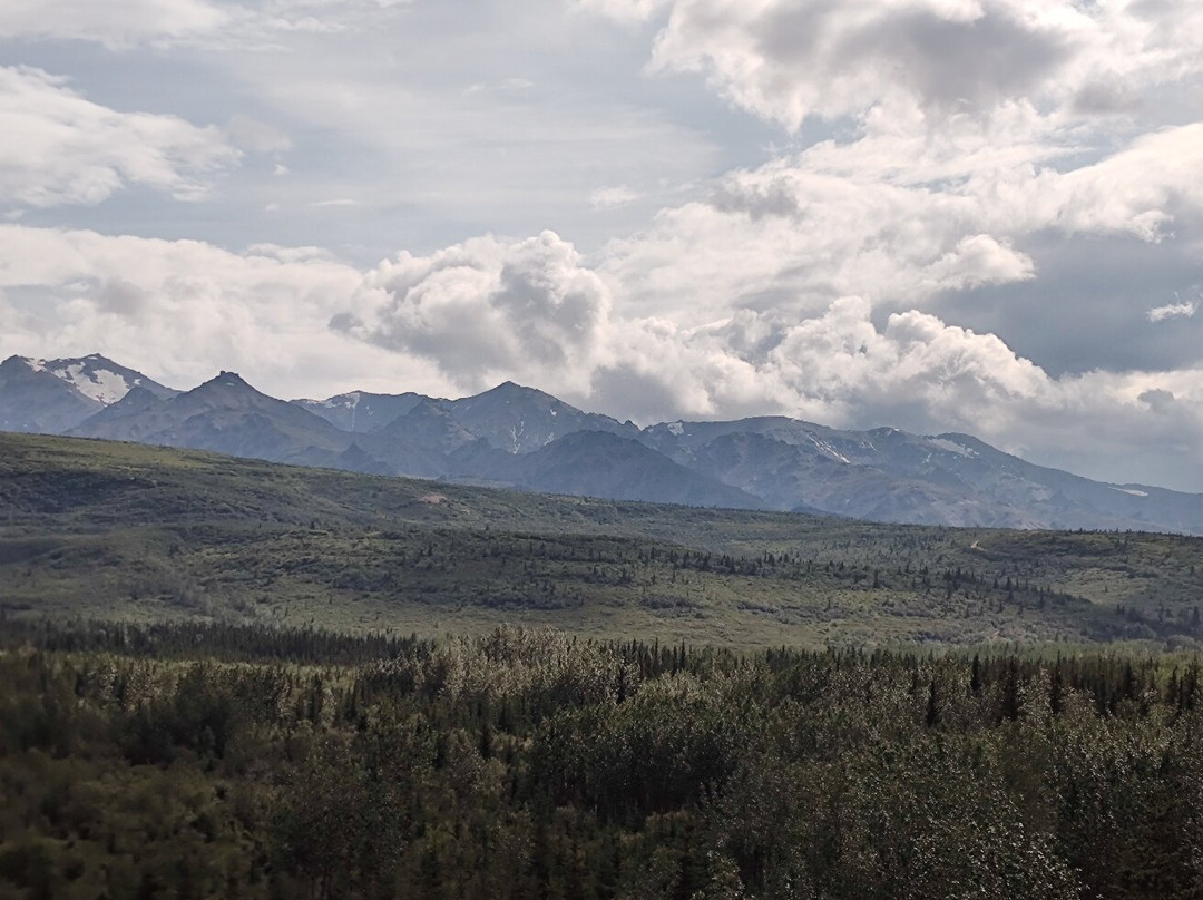 Denali Black Diamond Covered Wagon-Denali Park必去景点