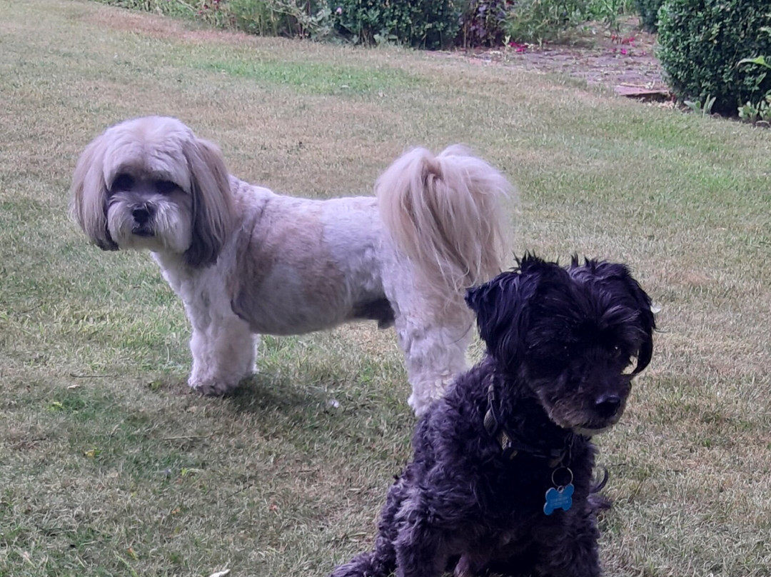 White House Farm主图