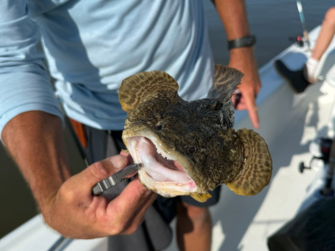 Triple C Charters Daufuskie Island-Daufuskie Island必去景点
