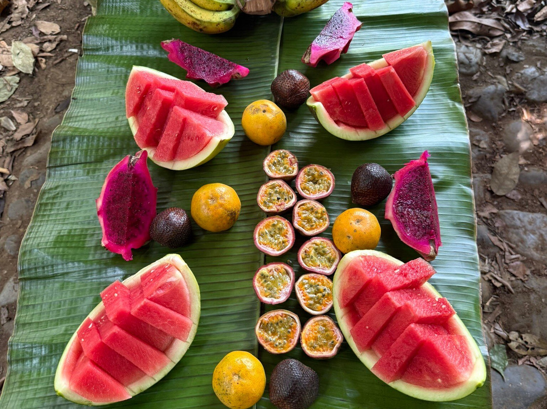 Sumatra Orang Utan Treks-武吉拉旺必去景点