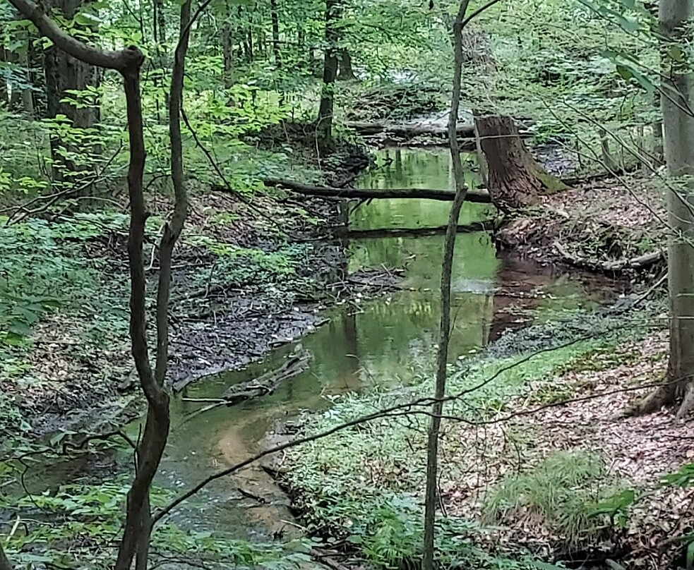 Kalamazoo Nature Center-卡拉马祖县必去景点