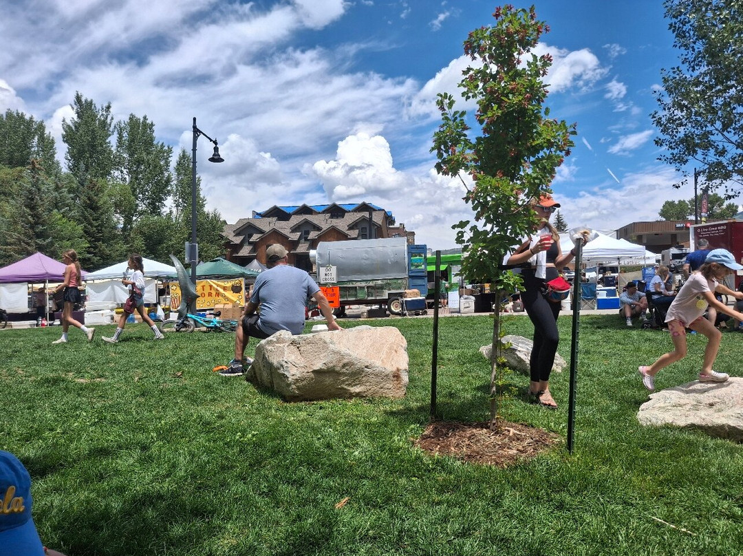 Routt National Forest-斯廷博特斯普林斯必去景点