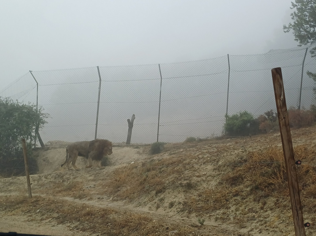 Safari Aitana-Penaguila必去景点