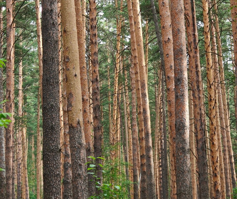 Talc Quarry Old Lens-叶卡捷琳堡必去景点