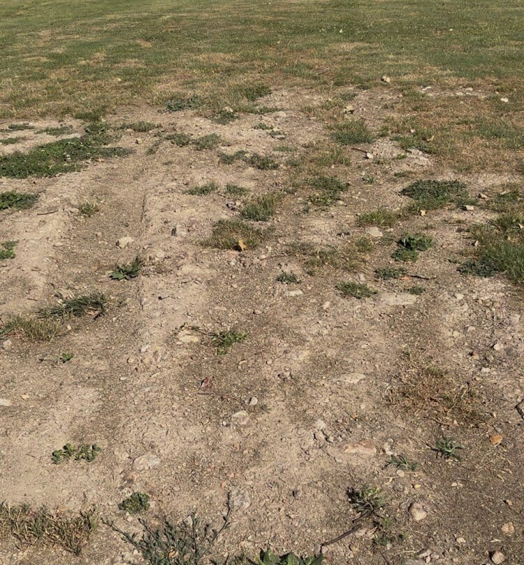 Golf d'Autun-Autun必去景点