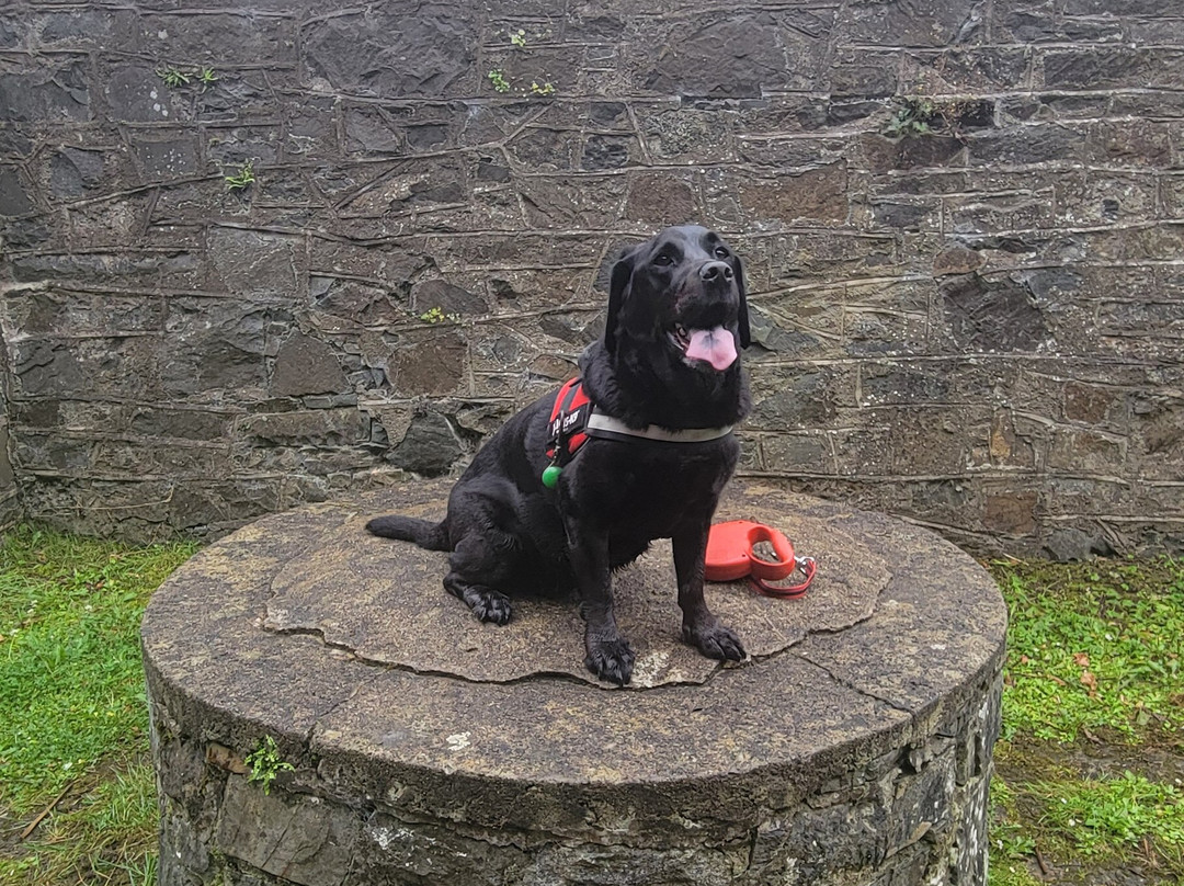 Gosford Forest Park-阿尔马必去景点