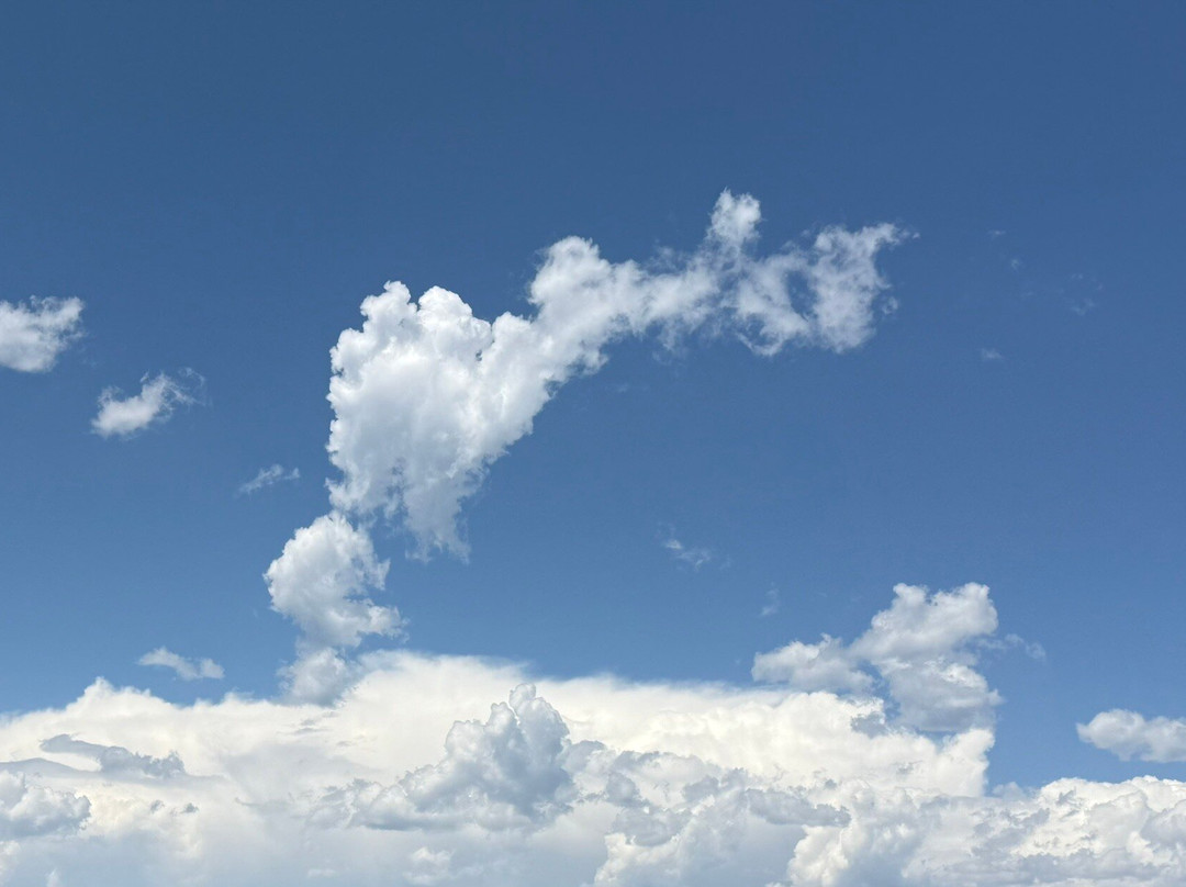 Mack`s Inn Float Trip and Rentals-艾兰帕克必去景点