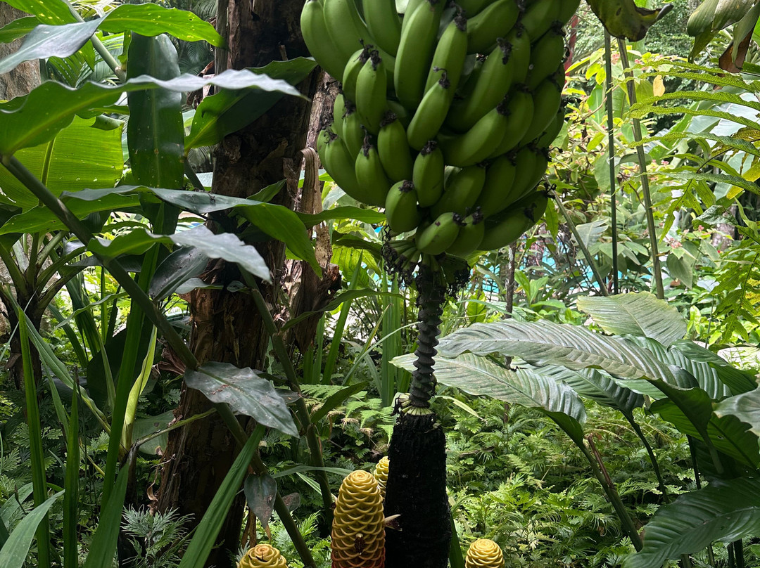 Posada Ecológica Casa María主图