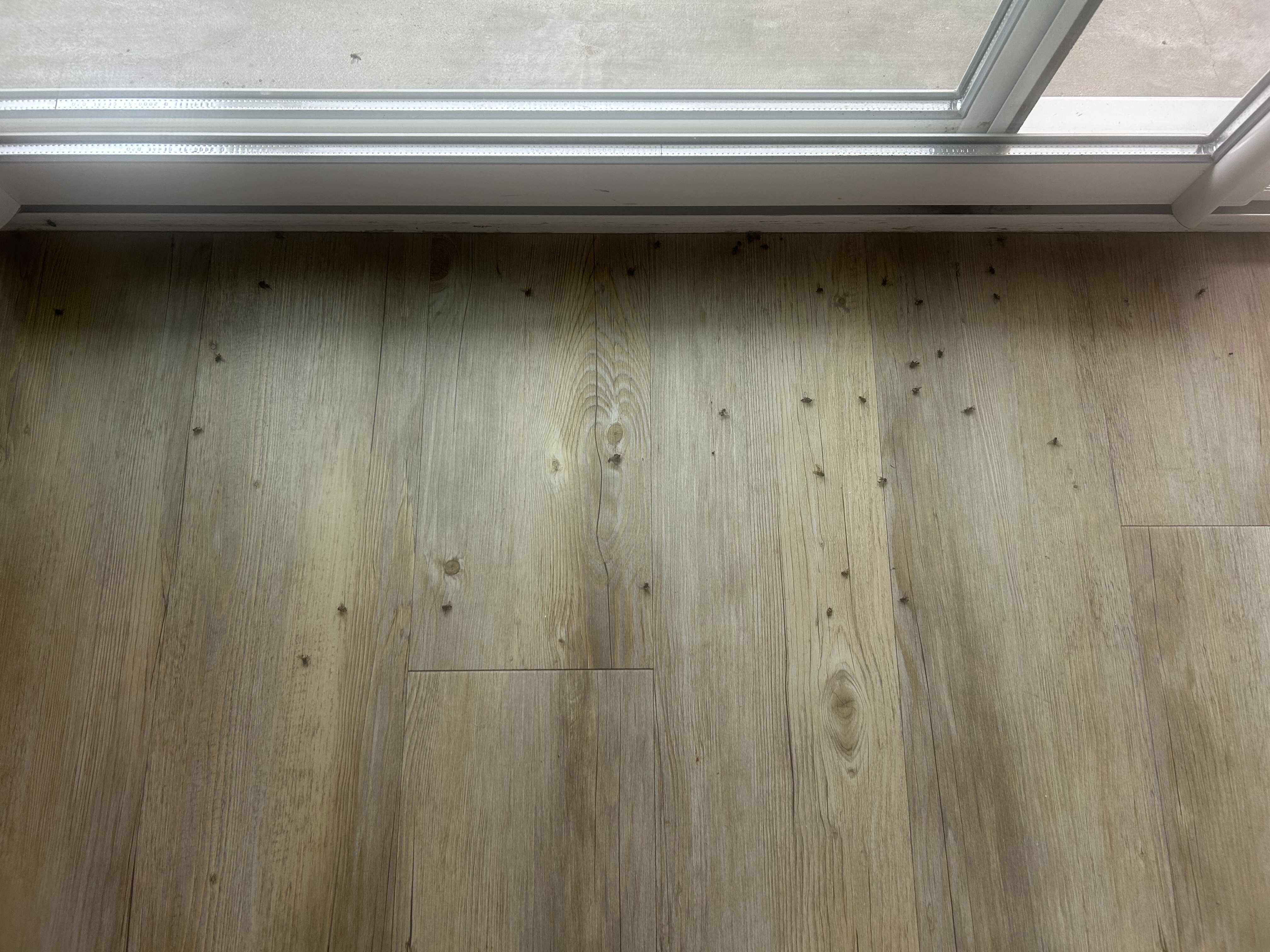 Hotel - Restaurant Baratxartea-客卧