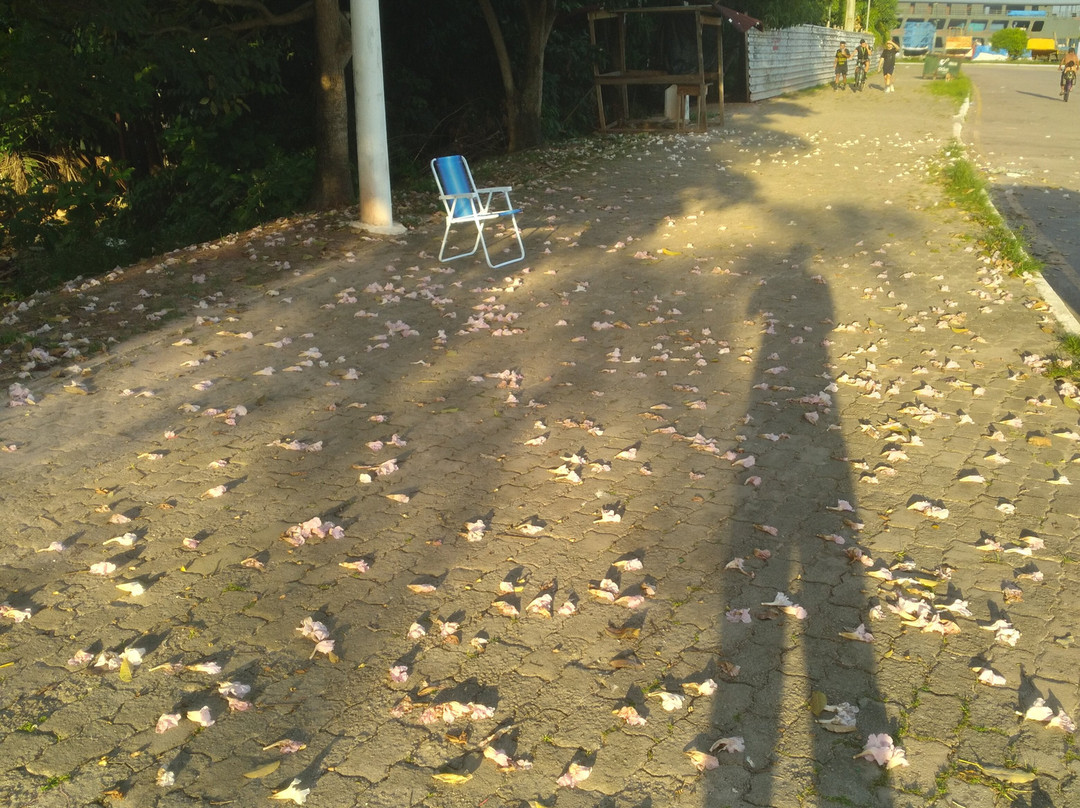 Portal da Amazonia-贝伦必去景点