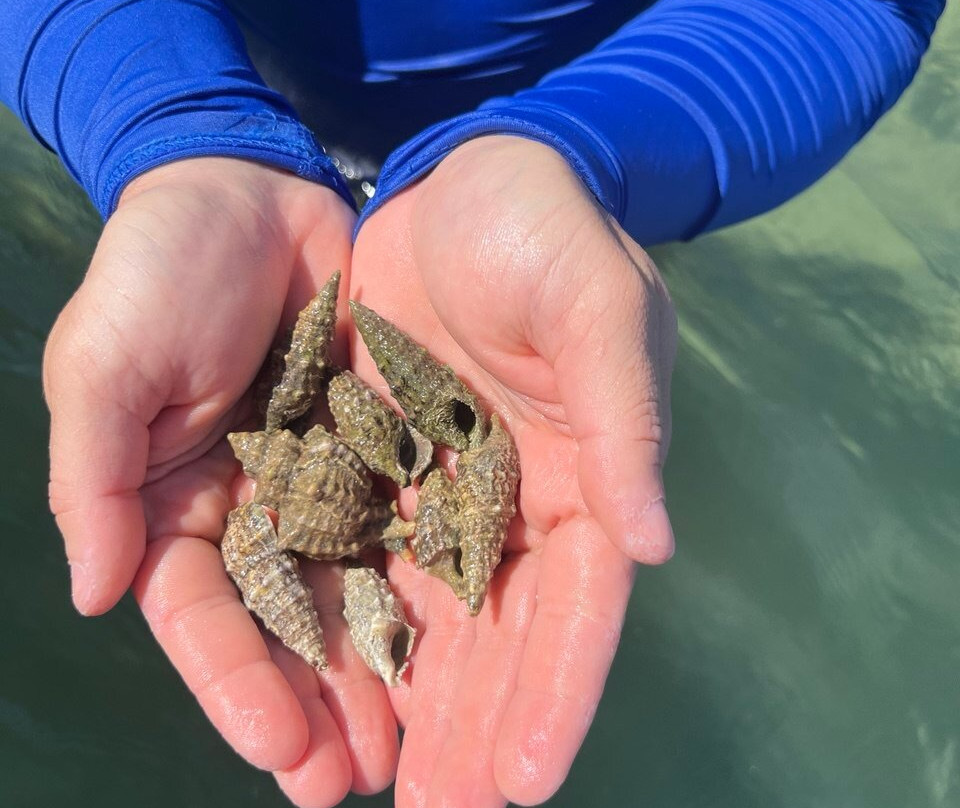 Dream Swim-Vourvourou必去景点