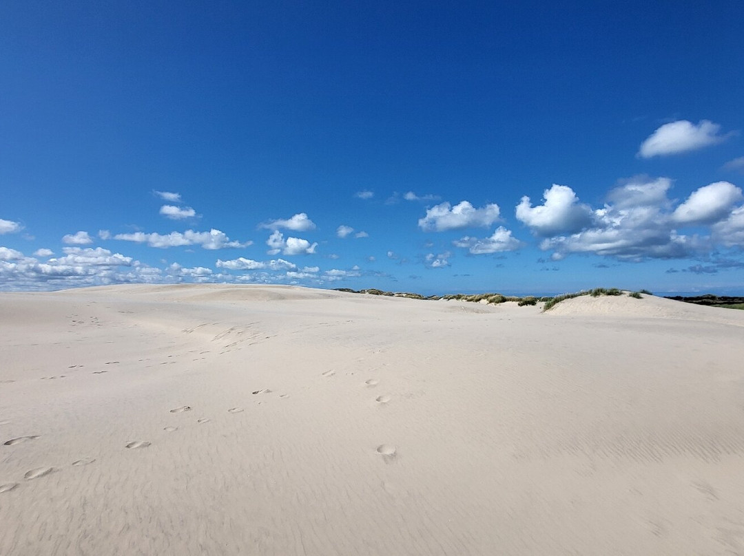 Råbjerg Mile-斯卡恩必去景点