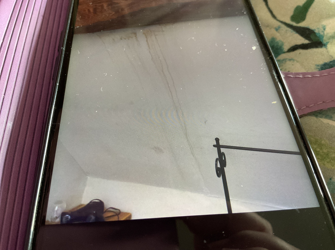 The Swan Hotel主图