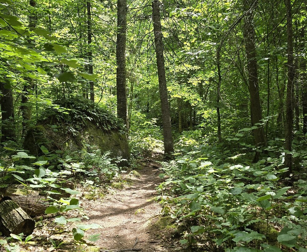 Centre Touristique et Educatif des Laurentides (CTEL)-Mont-Blanc必去景点