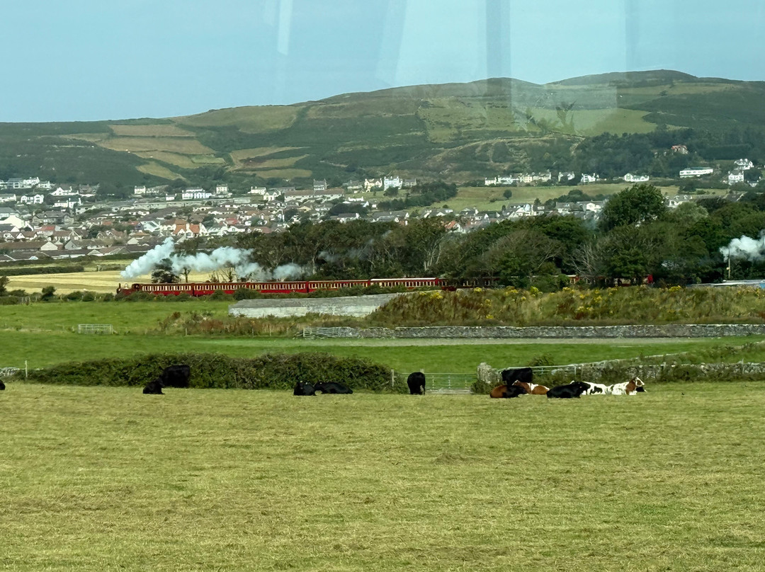 Go-Mann Adventures-Port Erin必去景点