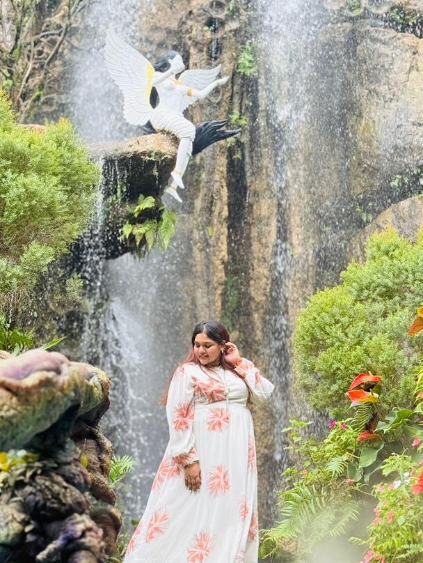 Tee Chiangmai Private Tour-清迈必去景点