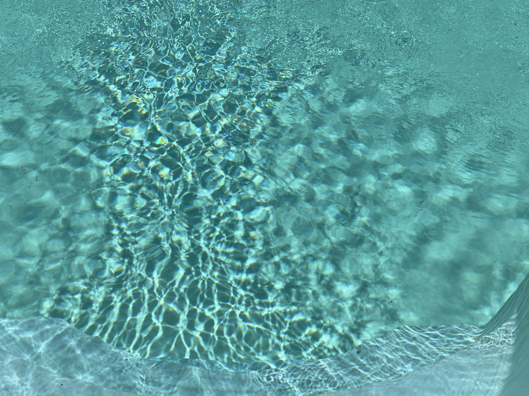 B&b Villa Romina主图