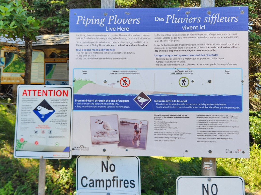 West Mabou Beach-Mabou必去景点