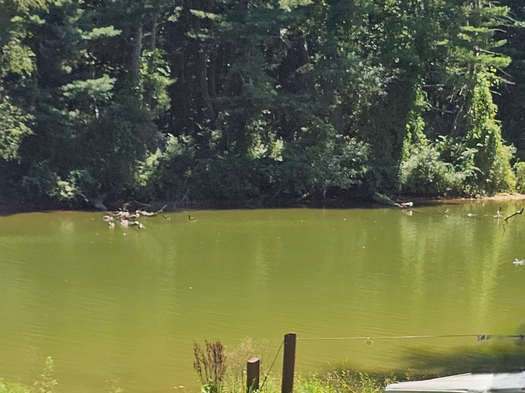 Loch Raven Fishing Center-Phoenix必去景点