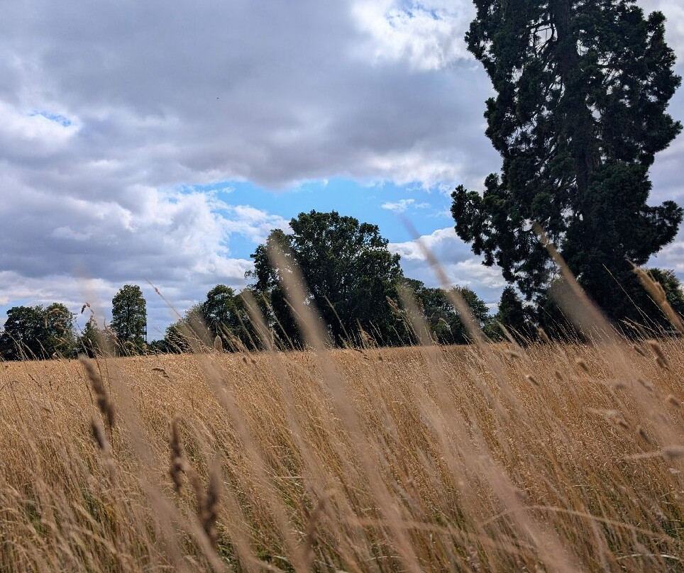 Thirsk Hall Sculpture Garden-瑟斯克必去景点