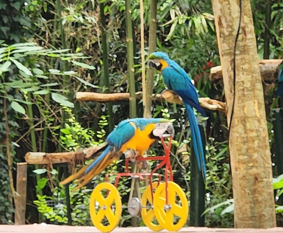 Le Parc des Perroquets-Bren必去景点