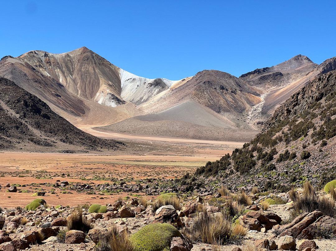 Suri Plaza-Putre必去景点