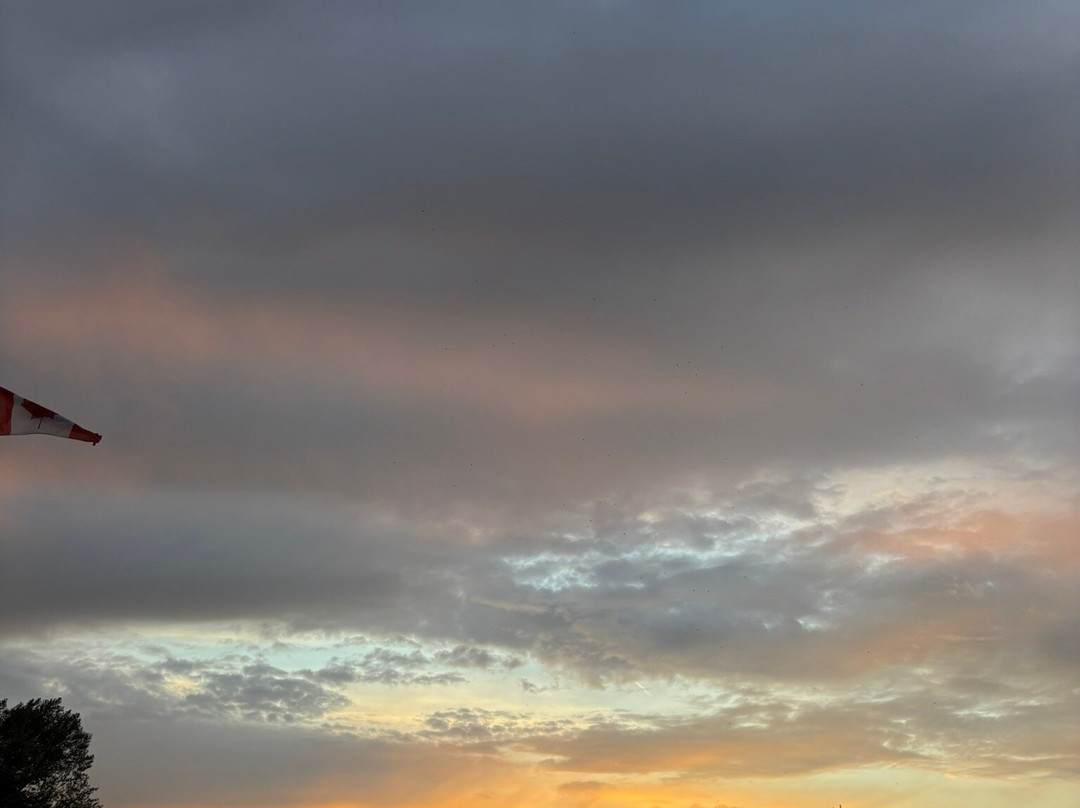 Twin Peaks Bed & Breakfast主图