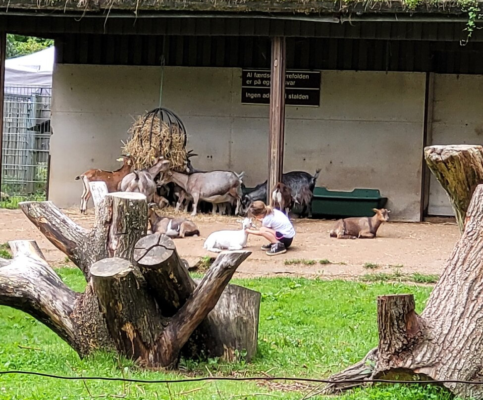 Geografisk Have-科灵必去景点