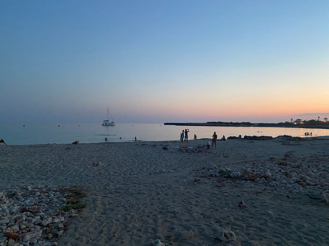 Platja de Son Xoriguer-卡兰博希必去景点