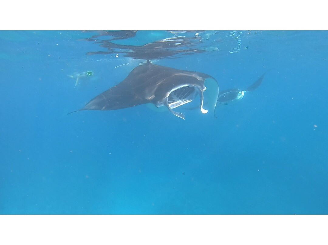 Snorkeling at Nusa Penida-Toyapakeh必去景点