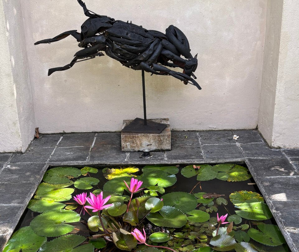 Nyne Hotels The Muse - Bentota主图