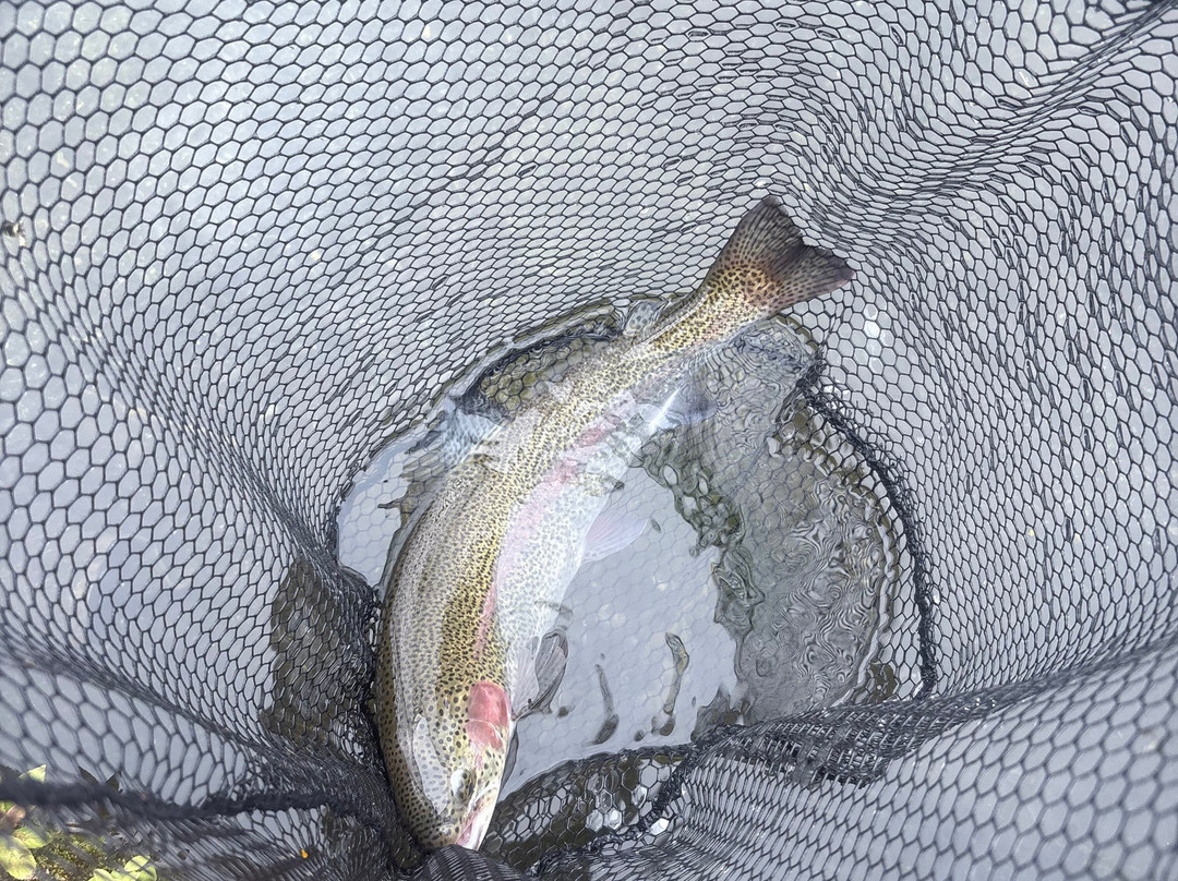 Upstream Dry Fly-Stockbridge必去景点